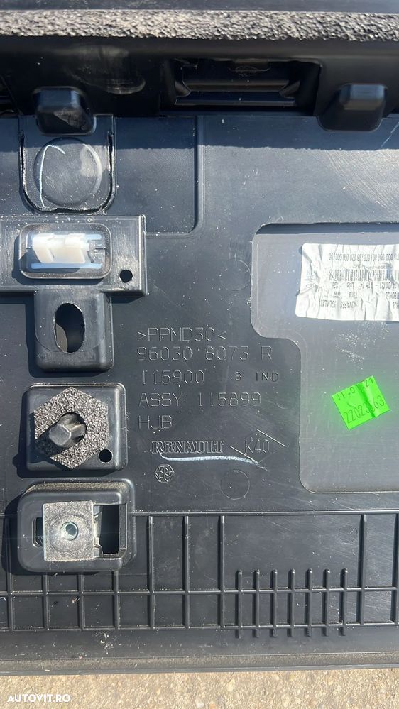 ORNAMENT HAION CAPTURE - 3