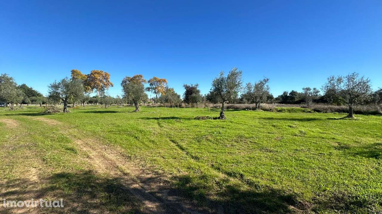 Terreno Rústico em Ladoeiro, Idanha a Nova - 48.000€ - Grande imagem: 5/16