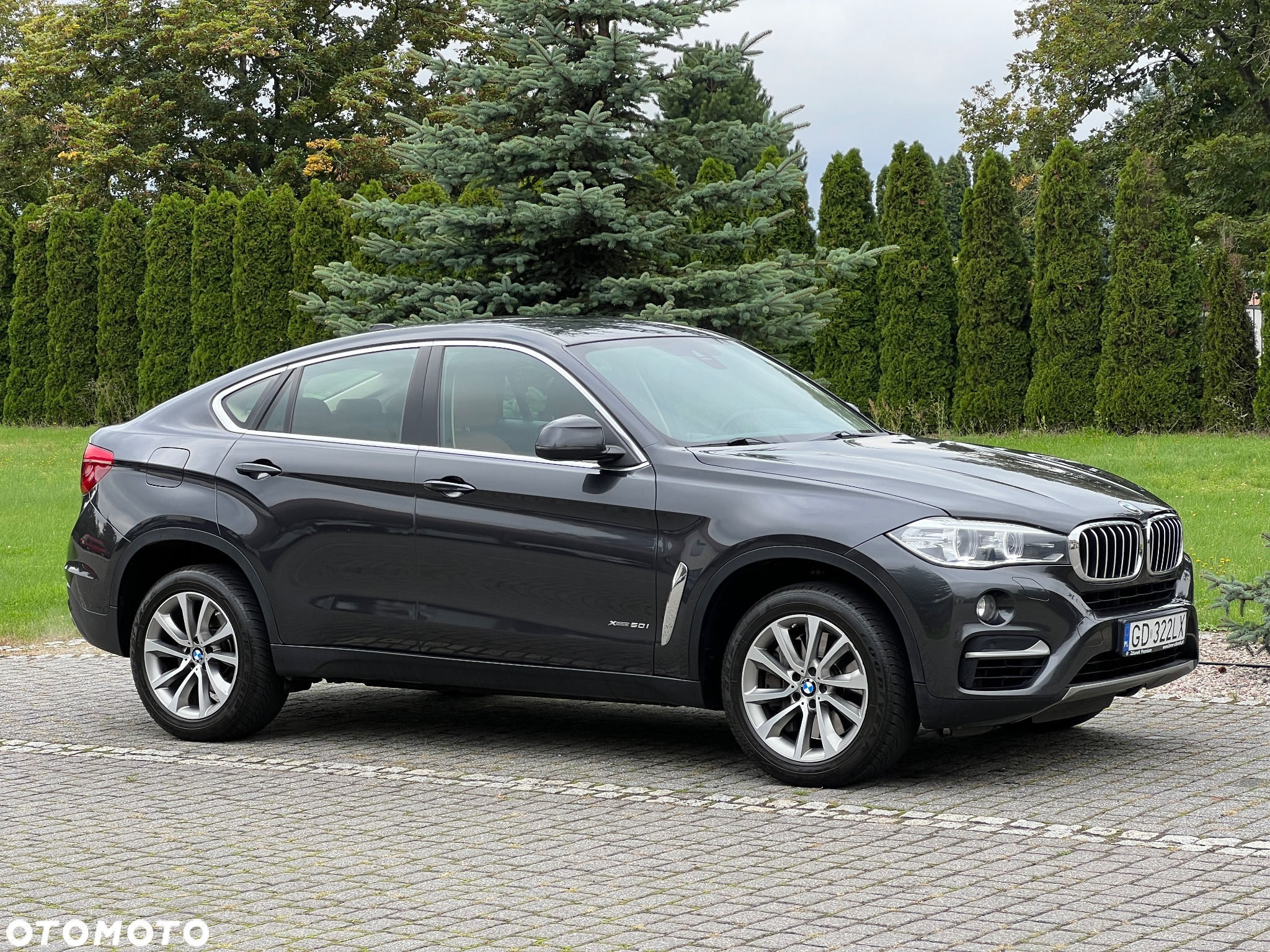 BMW X6 xDrive50i - 10