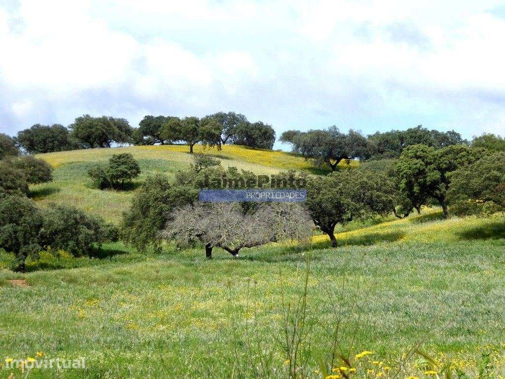 3.500.000m2 Herdade próxima Alqueva. Portugal, Évora, Portel. - Grande imagem: 3/9