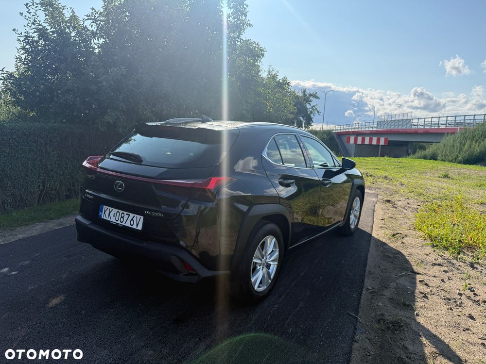 Lexus UX 250h Elegance 2WD - 6