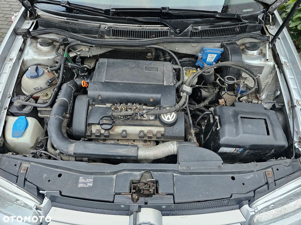 Volkswagen Golf IV 1.4 16V Basis - 15