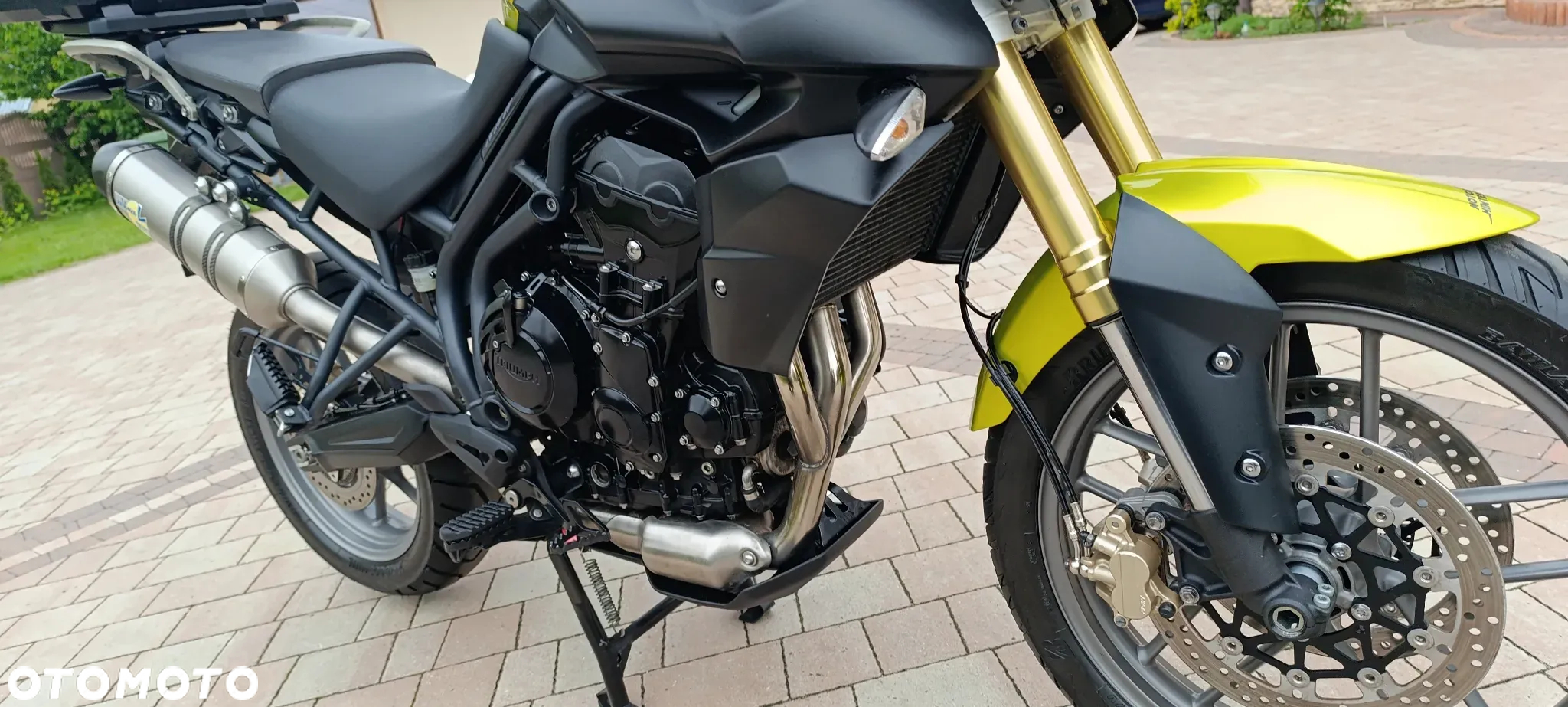 Triumph Tiger - 31