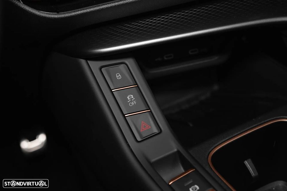 Cupra Terramar - 38
