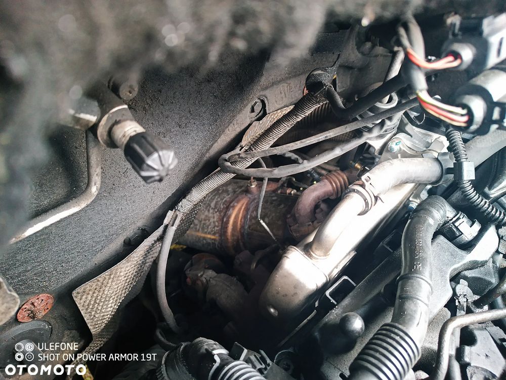 Volkswagen Caravelle - 17