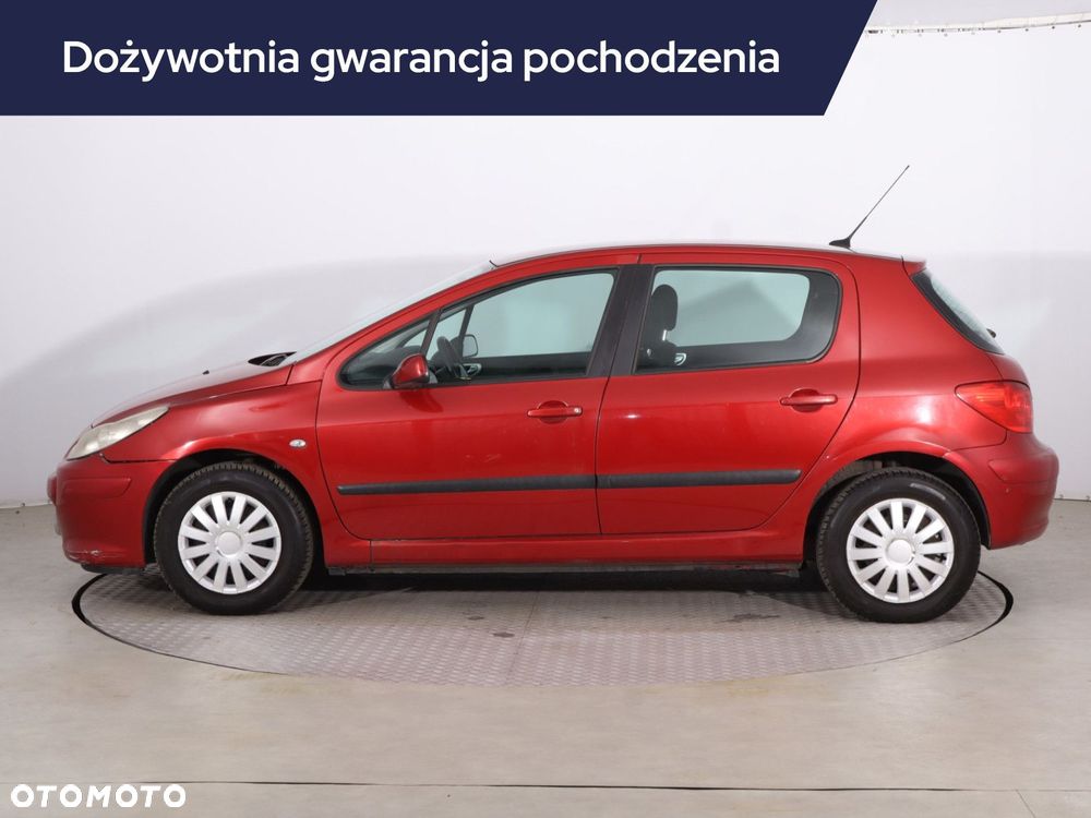 Peugeot 307 - 4