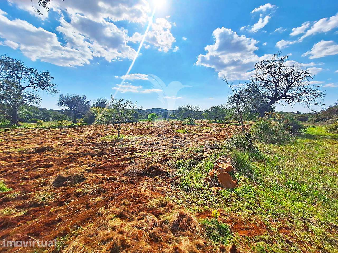 Terreno Rustico em Loulé próximo da Fábrica da Cimpor - Grande imagem: 5/11
