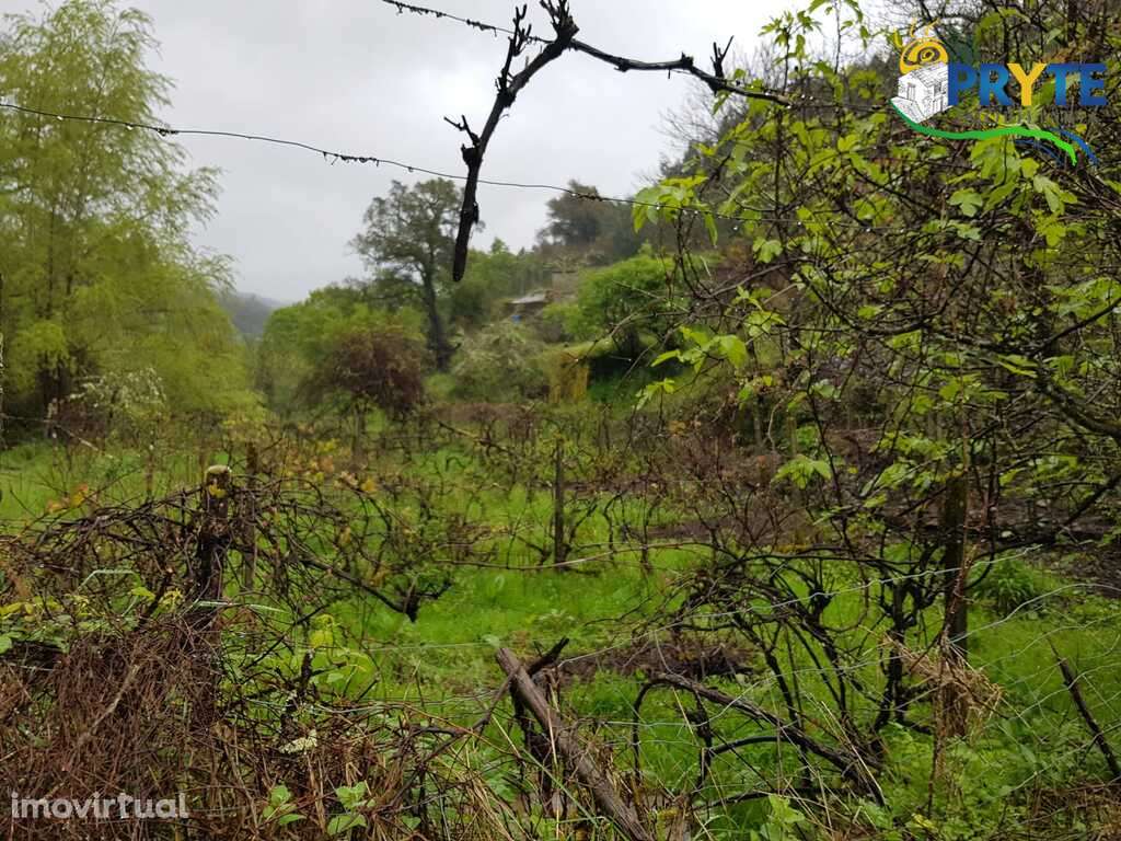 Quinta histórica em zona rural tranquila junto a aldeia de Alvares - Grande imagem: 5/26