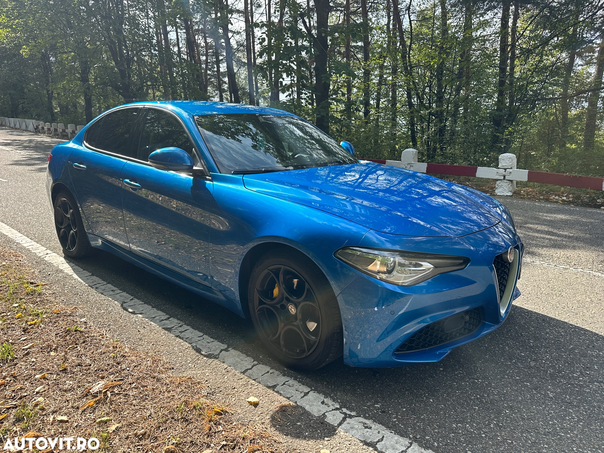 Alfa Romeo Giulia 2.2 JTDM Aut. Super - 8