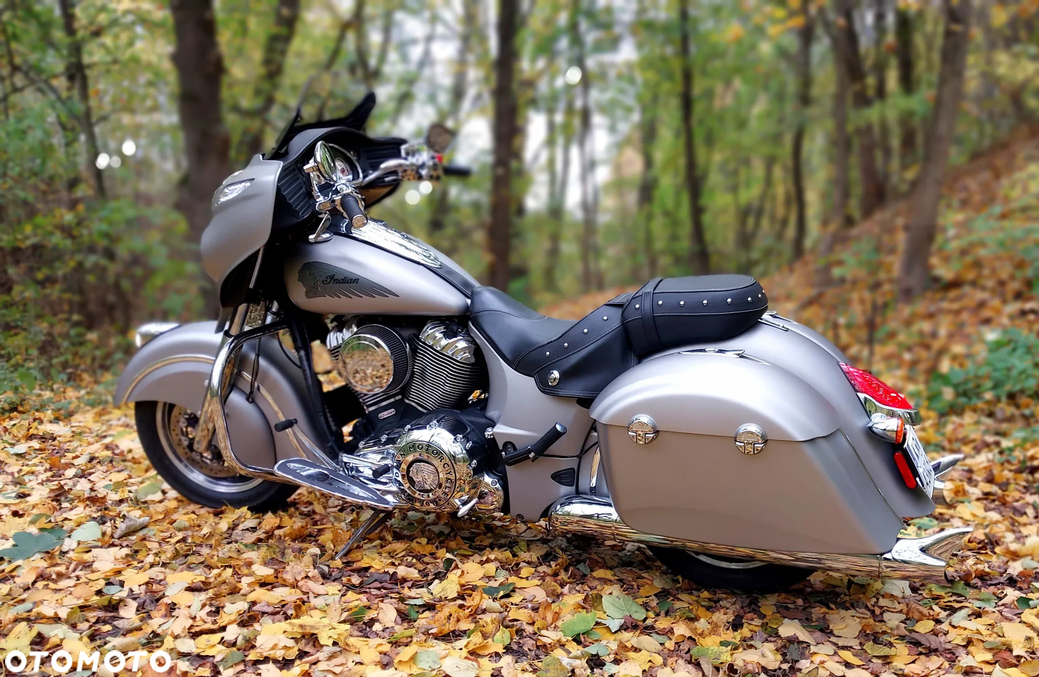 Indian Chieftain - 6