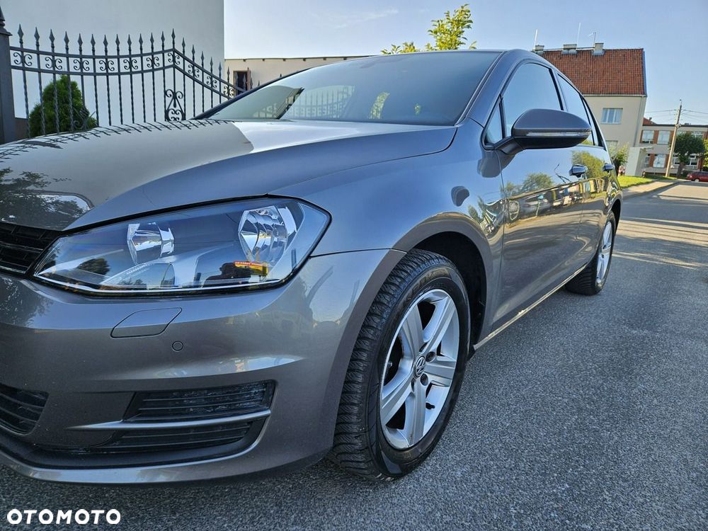 Volkswagen Golf - 21