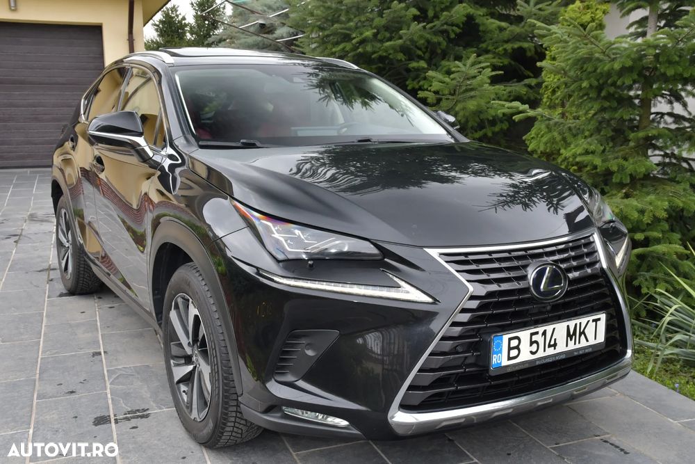 Lexus Seria NX 300h AWD Luxury - 10