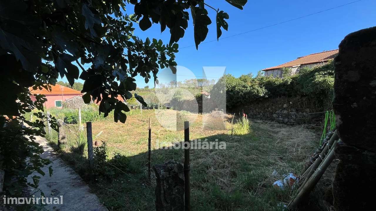 Duas Ruínas para Recuperar com Terreno na Região Demarcada do Douro - Grande imagem: 4/19