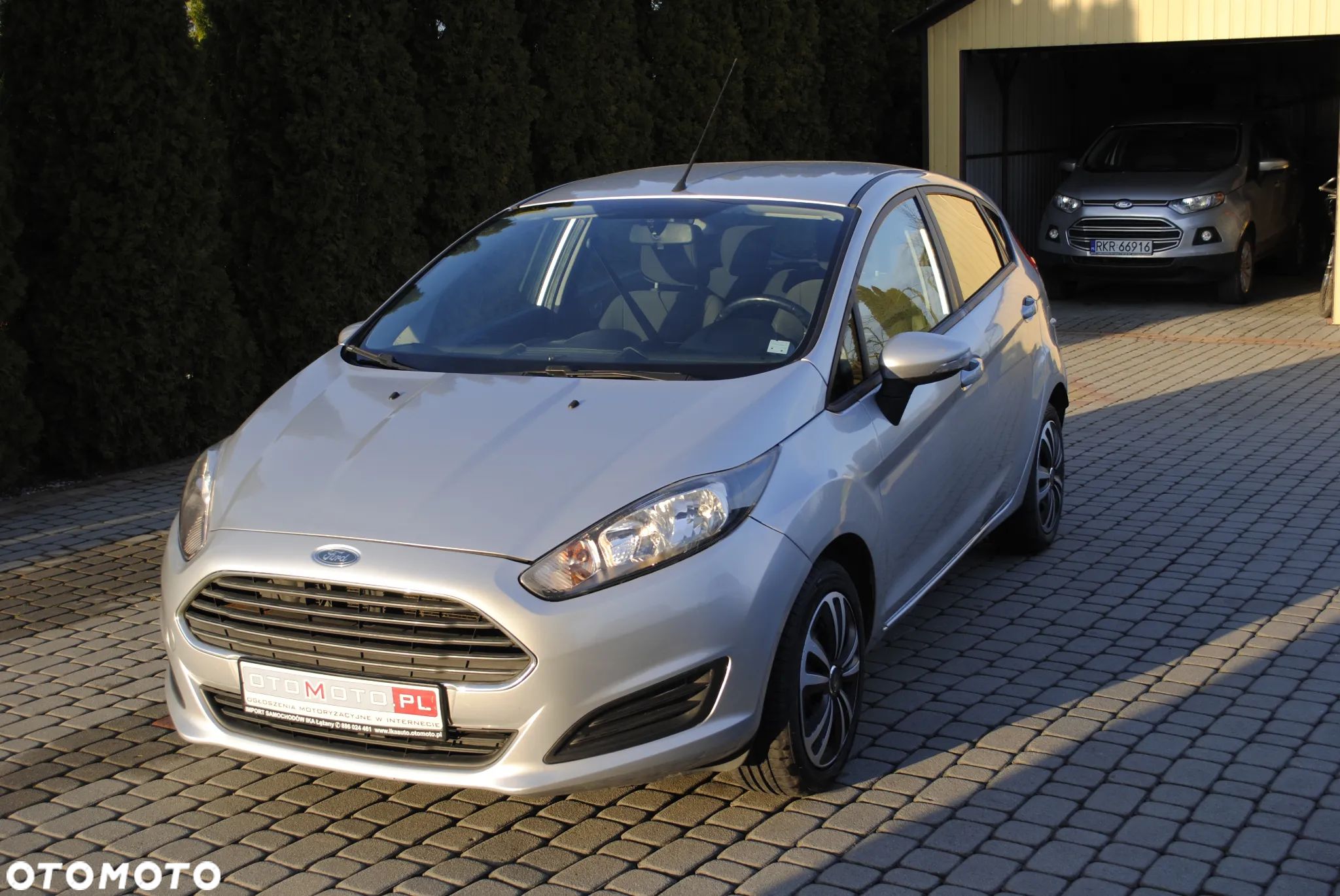 Ford Fiesta - 1