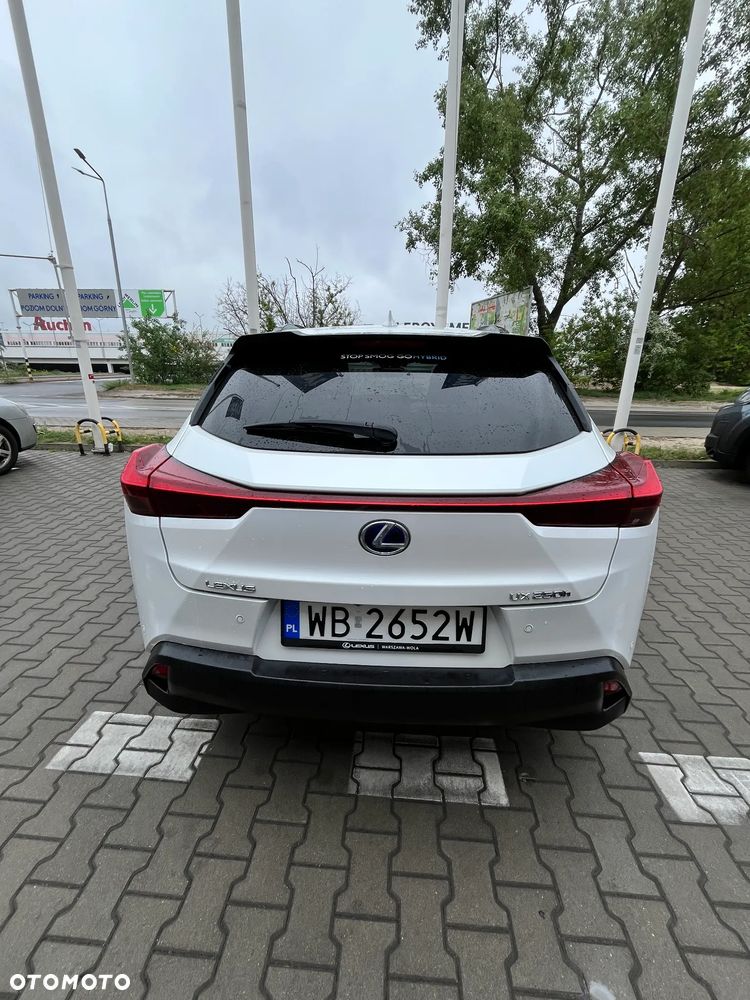 Lexus UX 250h GPF F Impression 2WD - 6