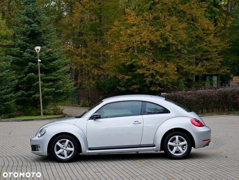 Volkswagen Beetle - 10