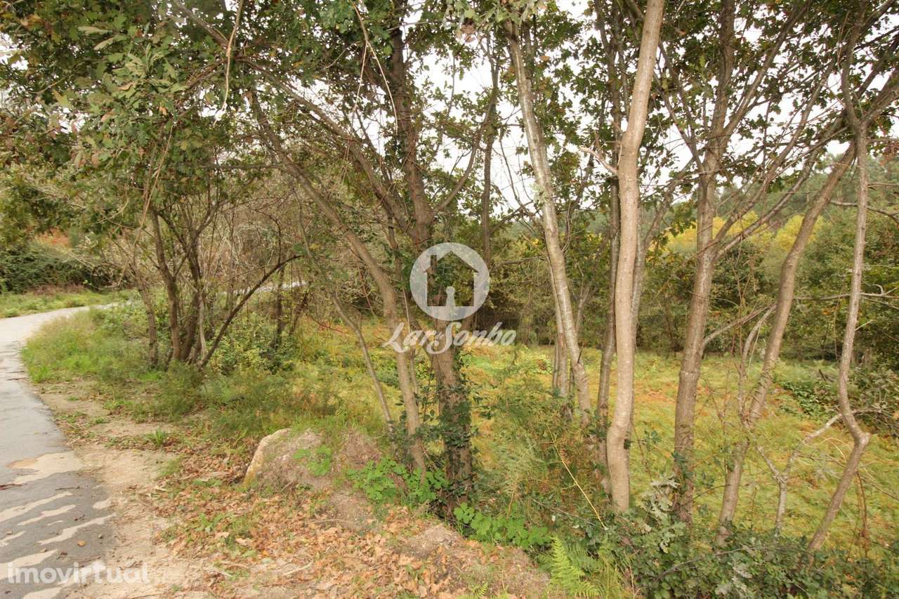 Terreno Venda Agilde Celorico de Basto - Grande imagem: 4/8