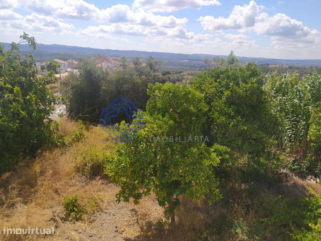 Terrenos próximos da cidade de Tomar - Grande imagem: 5/19