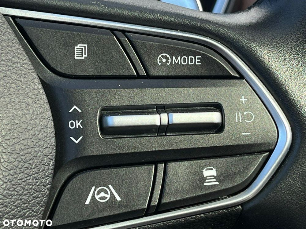 Hyundai Santa Fe - 24