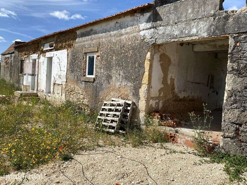 Moradia  com 4365m2 terreno - Soure - Grande imagem: 2/12