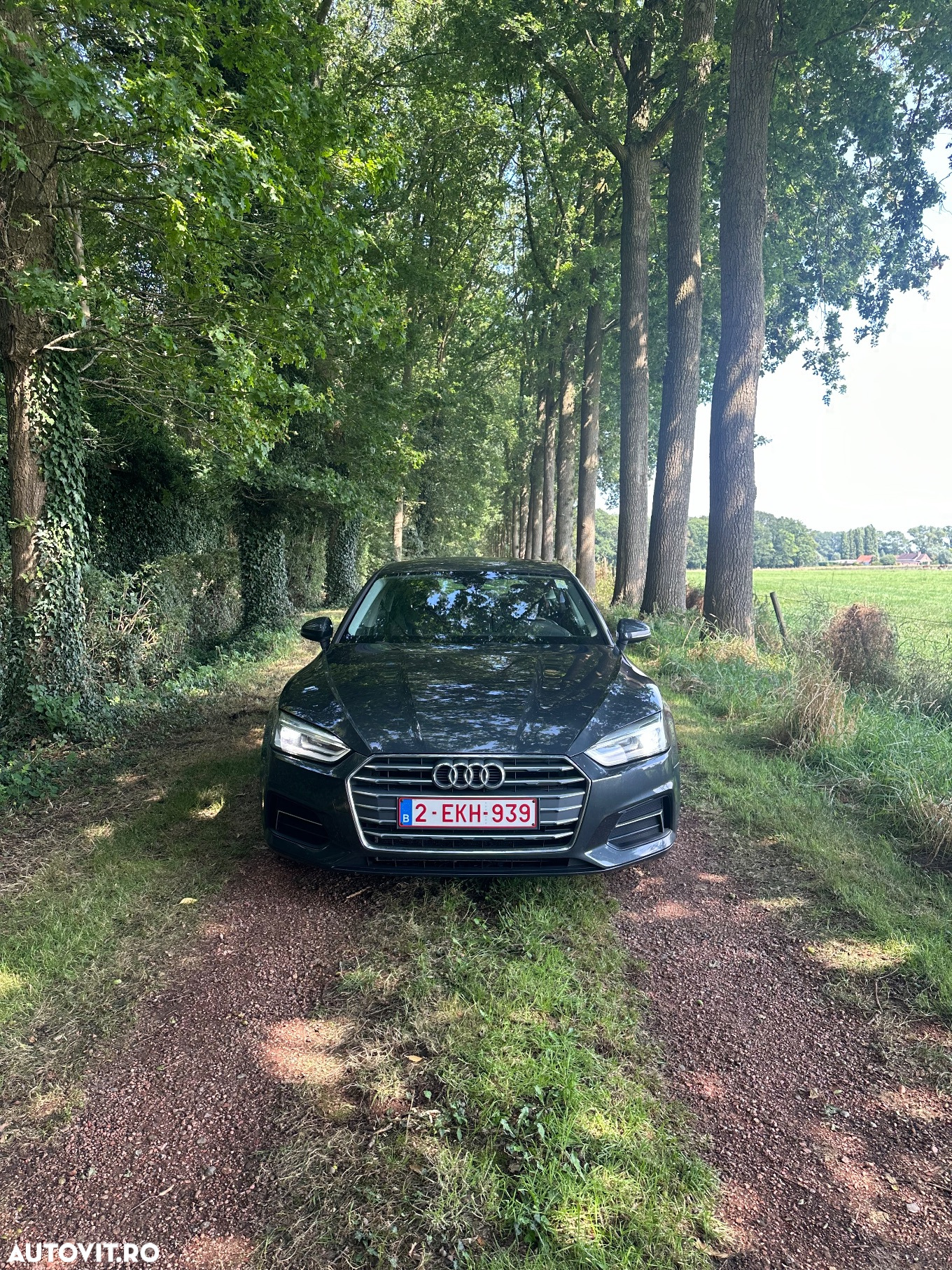 Audi A5 Sportback 2.0 TDI S tronic Design - 16