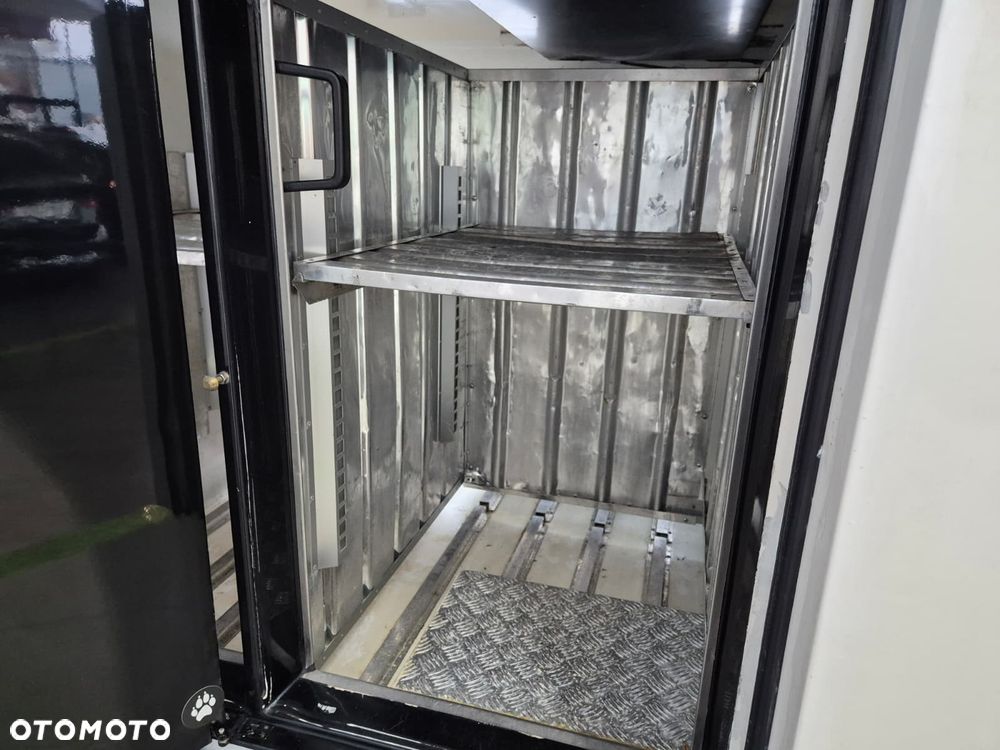 Ford Transit 350 2.0 TDCi / CHŁODNIA / MROŻNIA / IDEALNA DO MROŻONEK / BOCZNE KOMORY / ZASILANIE ZEWNĘTRZNE / GRUBE ŚCIANKI / SERWISOWANY / MODEL 2020 / EURO 6 / UNIKATOWY - 37