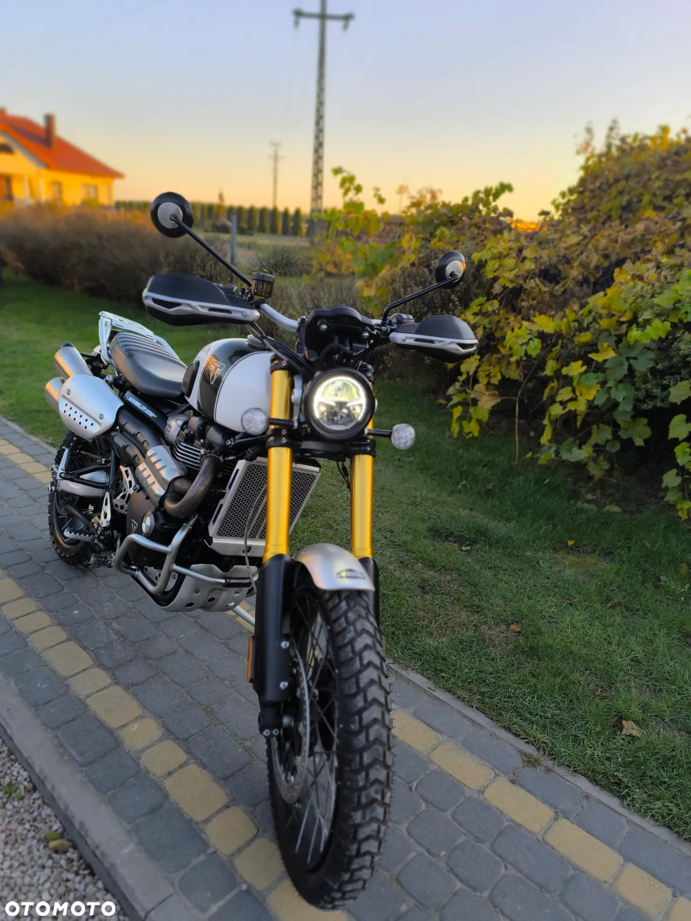 Triumph Scrambler - 5