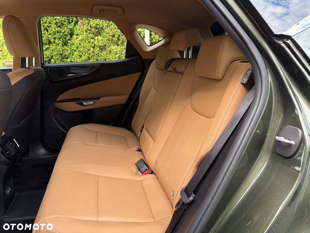 Lexus NX - 17