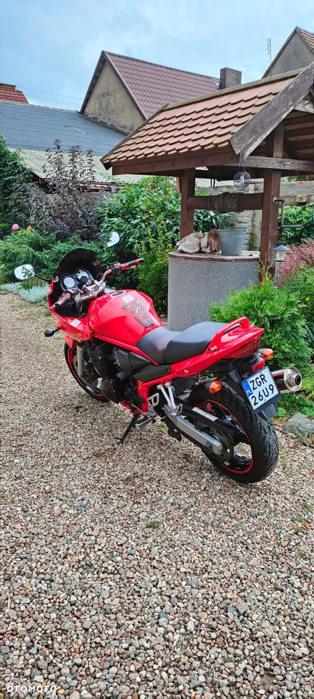 Suzuki Bandit - 5