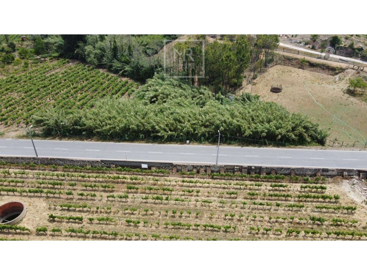 Terreno  Venda em São Lourenço do Bairro,Anadia - Grande imagem: 2/4