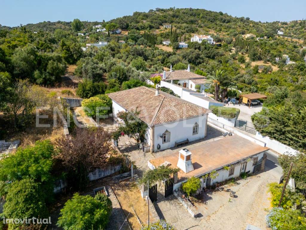 Propriedade tradicional com olival em São Brás de Alportel - Grande imagem: 2/23