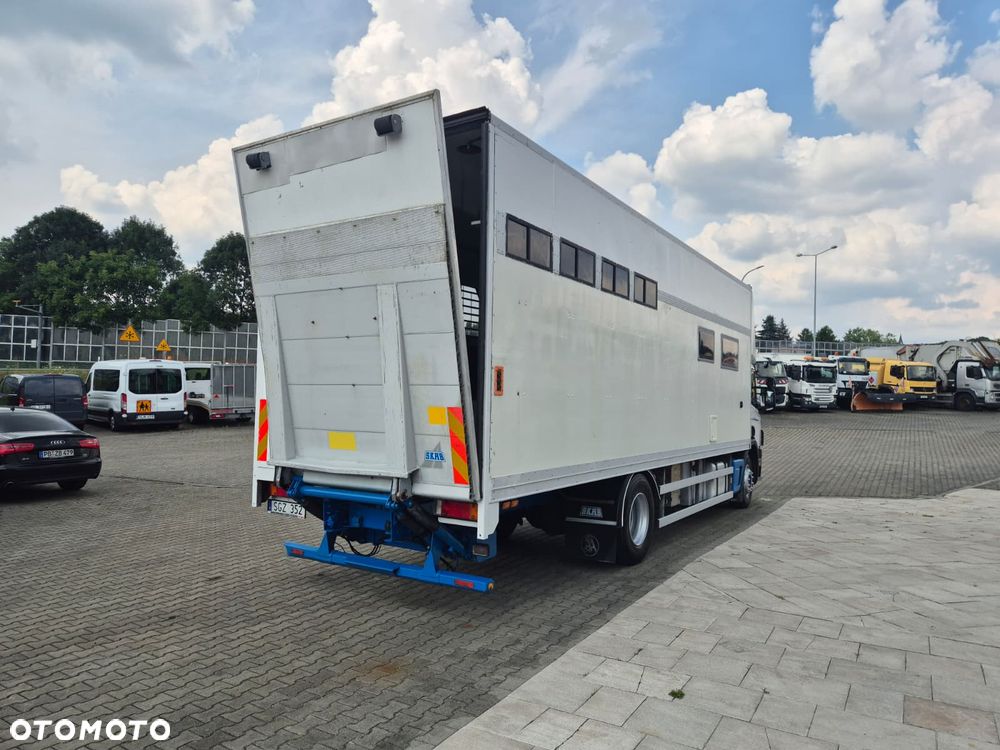 Scania P94LB 300 4X2 / KONIOWÓŻ / DO PRZEWOZU ZWIERZĄT / BYDŁO / KONIE / POMIESZCZENIE GOSPODARCZE / SERWISOWANY / 1WŁ / 5 MIEJSC / MANUAL / RAMPA - 8