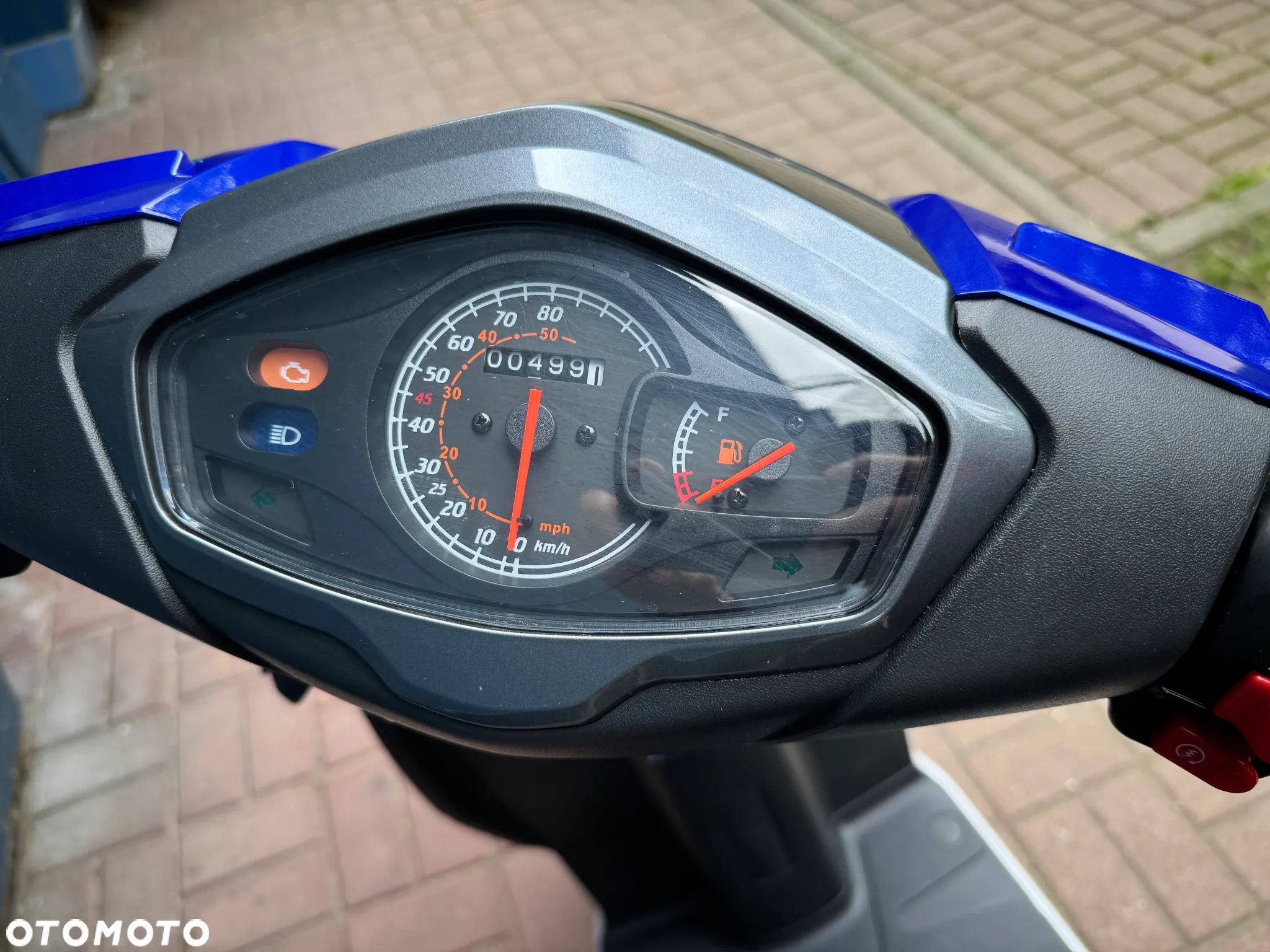 Barton Active - 12