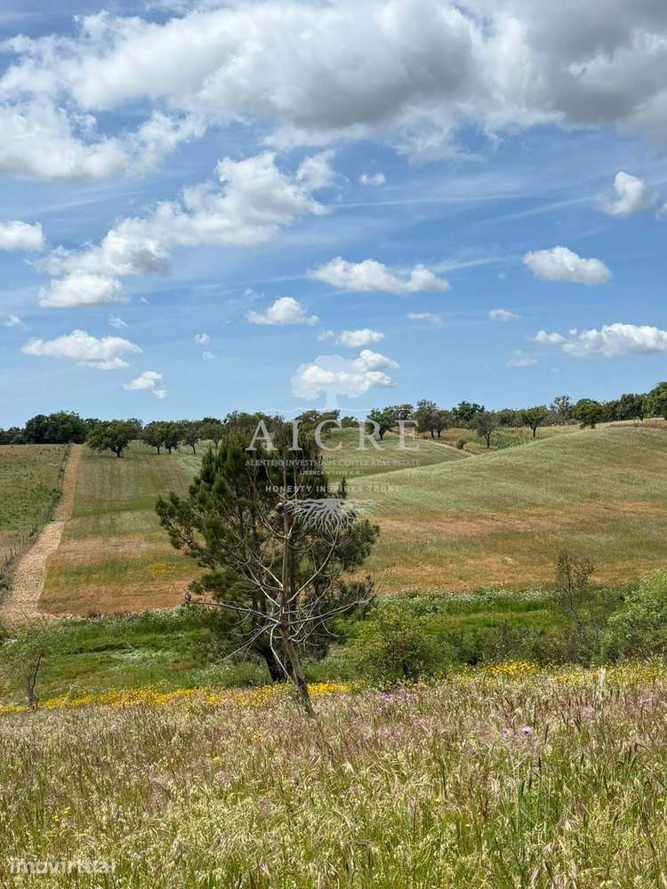 Monte Alentejano com Projeto de Turismo Rural Aprovado – Santiago do C - Grande imagem: 2/25