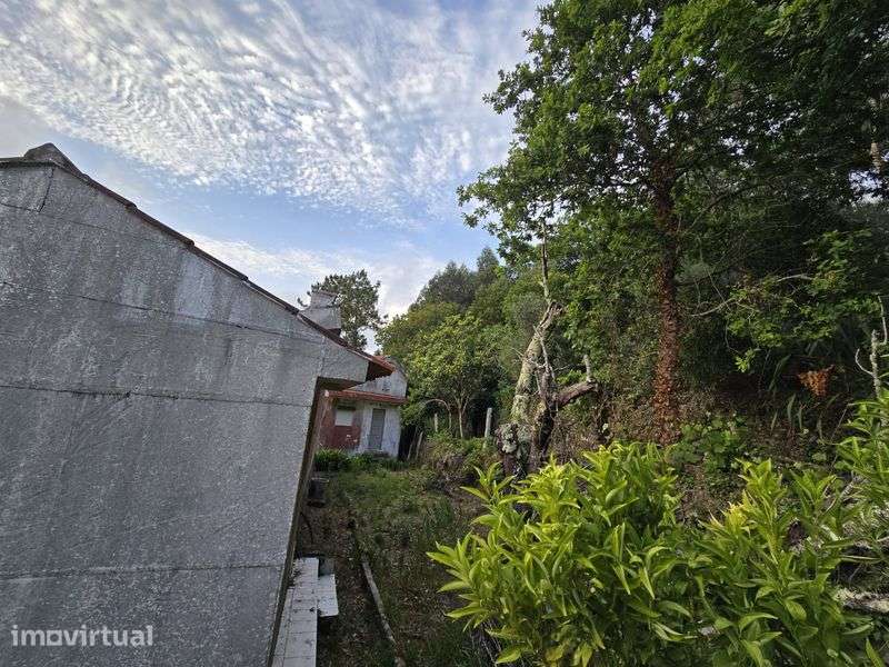 Venda de casa e terreno em Riba de Ancora - Grande imagem: 4/8