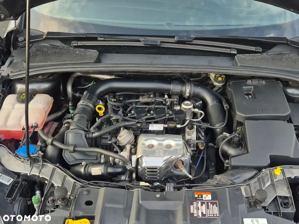 Ford Focus 1.0 EcoBoost ST-Line Red ASS - 13