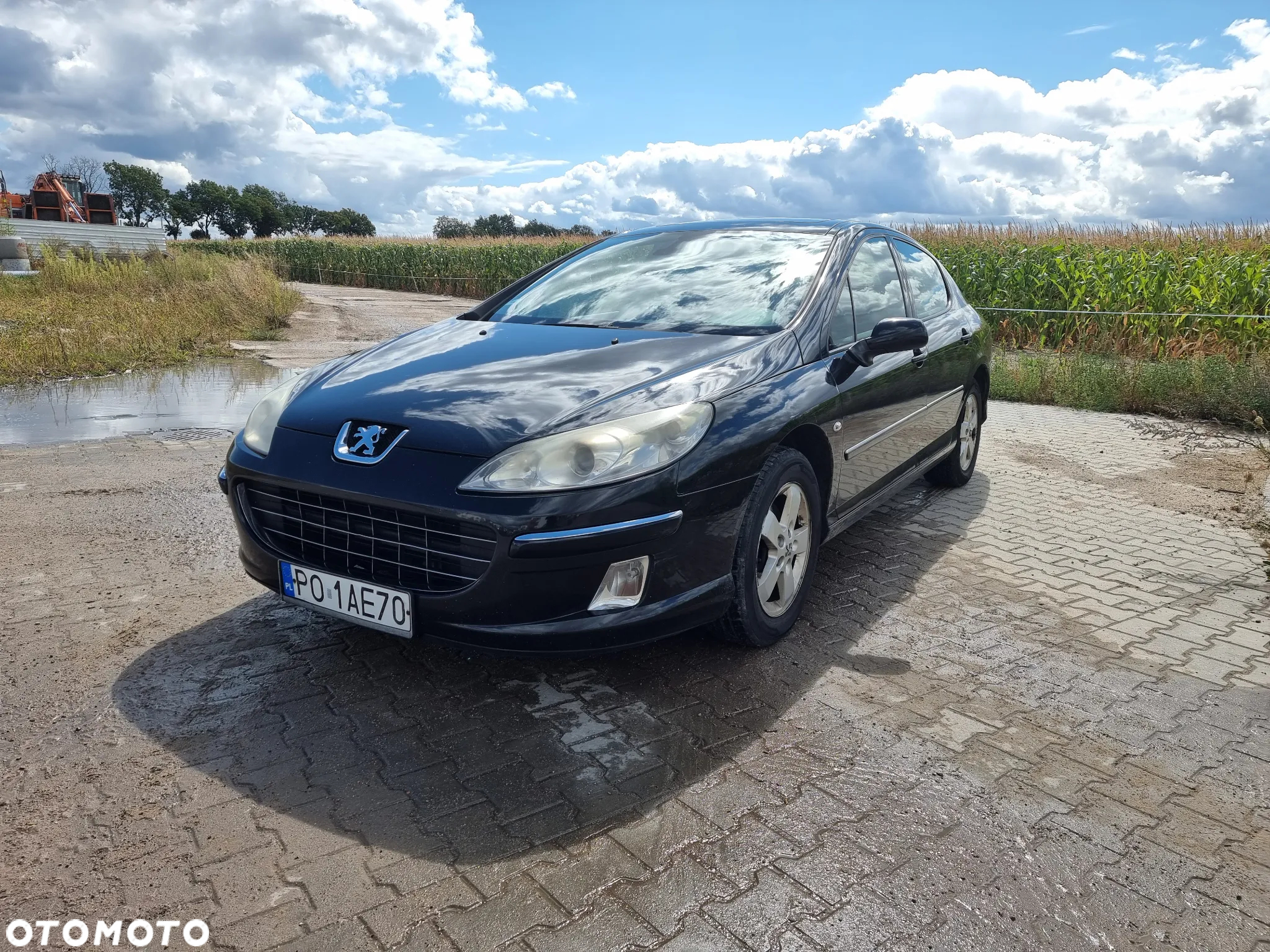 Peugeot 407 2.0 HDI Premium - 8