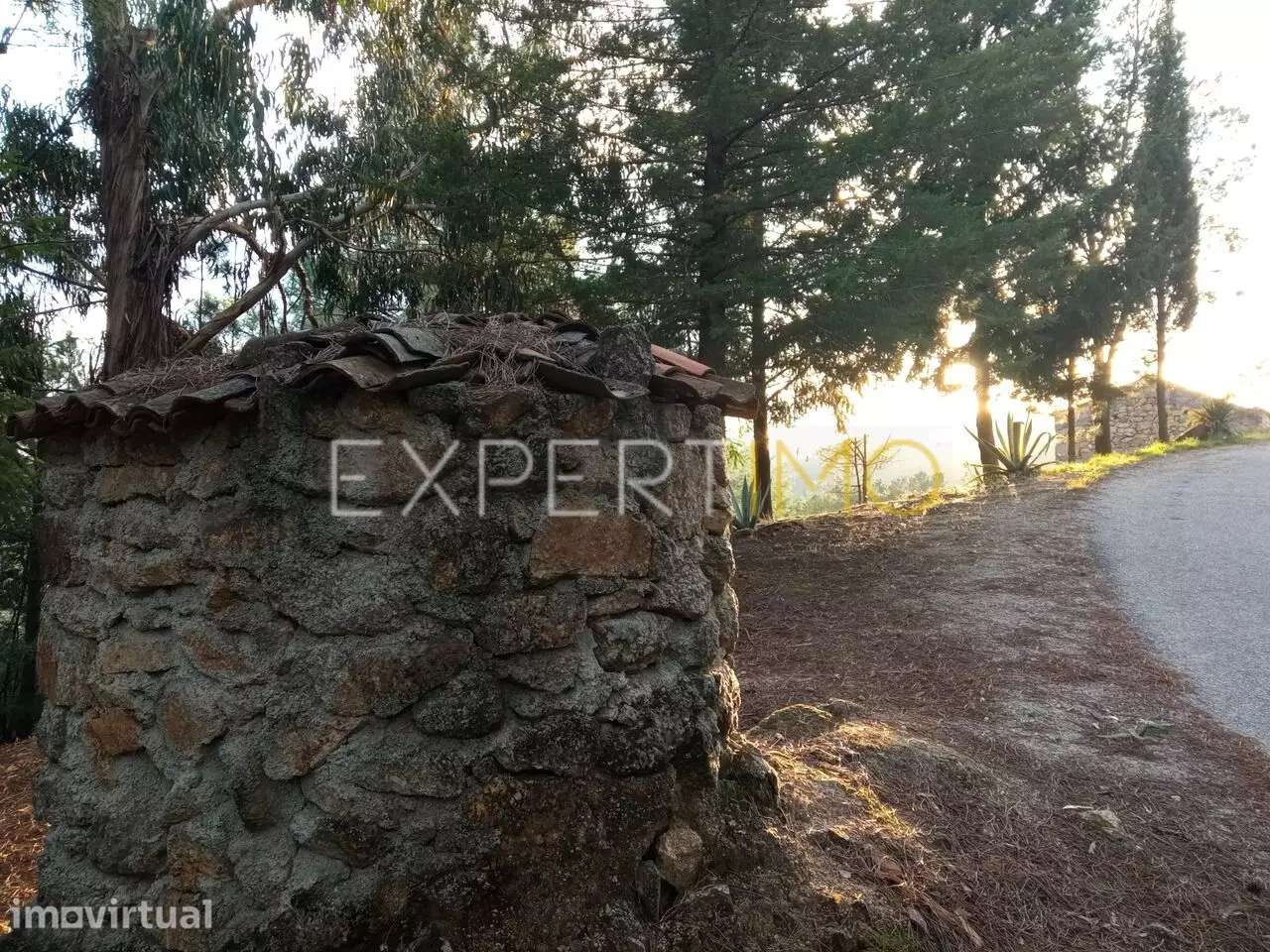 QUINTA EM SOCALCOS, paisagismo e local ideal para turismo - Guarda - Grande imagem: 3/25