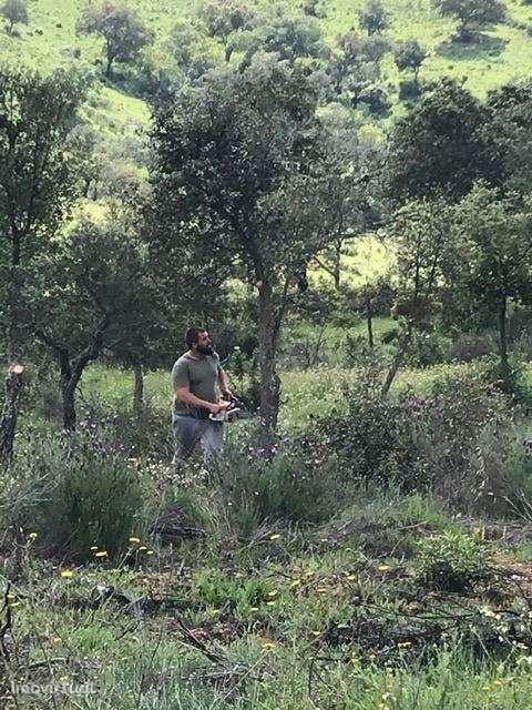 Herdade, para venda, Moura - Safara e Santo Aleixo da Restauração - Grande imagem: 3/8