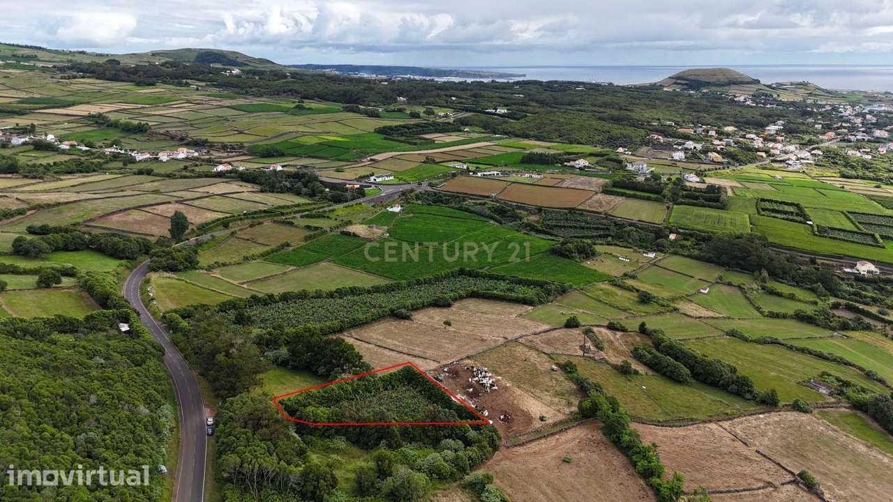Terreno com Pomar em Vila de São Sebastião - Grande imagem: 4/9