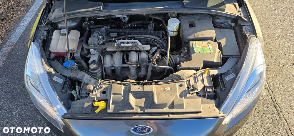 Ford Focus 1.6 Trend - 13