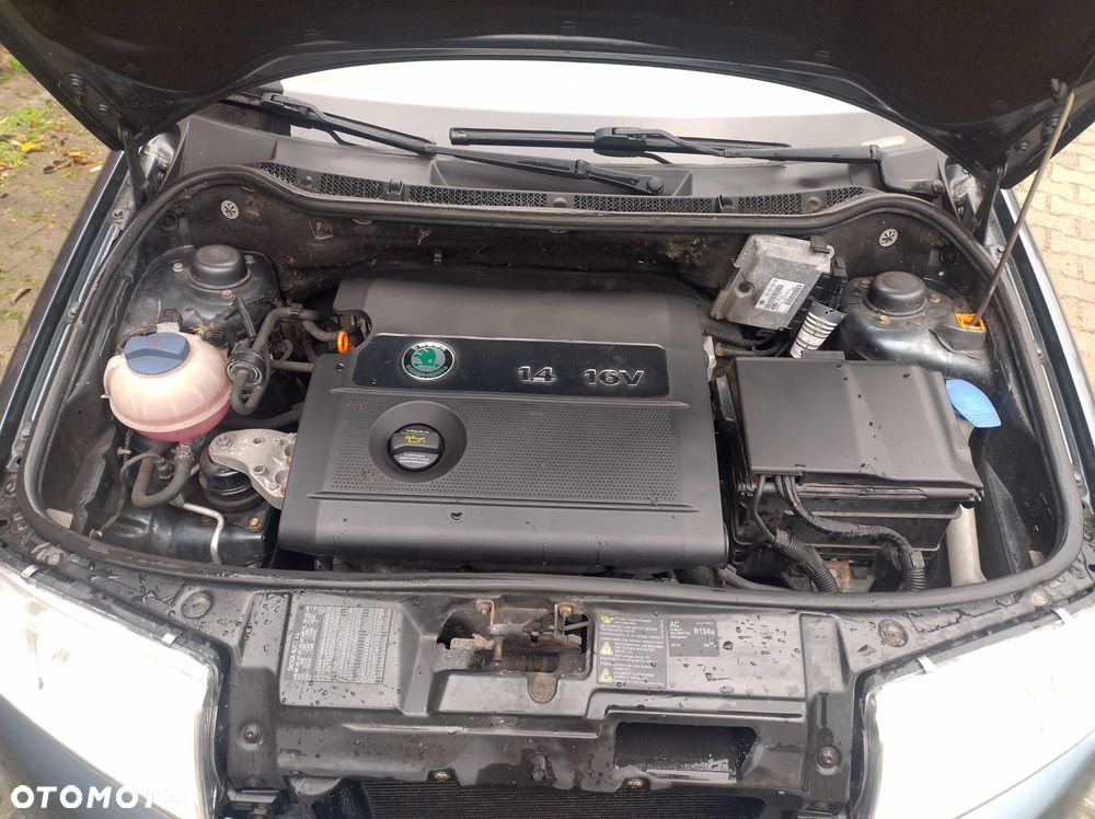 Skoda Fabia - 2