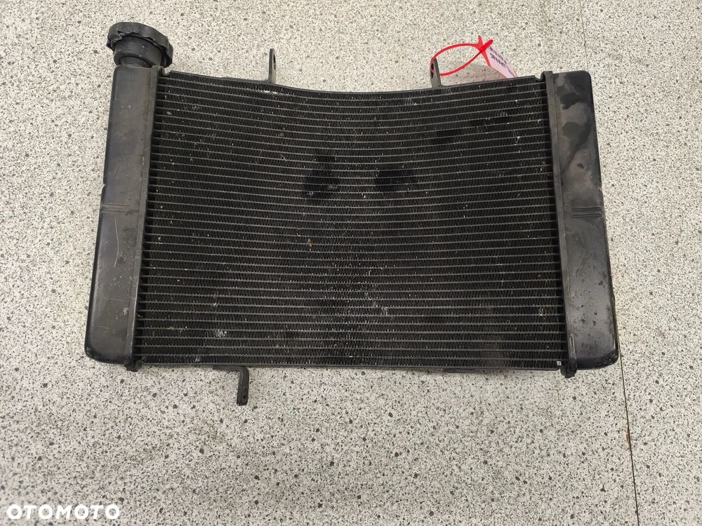 Chłodnica Triumph Street Triple 675 - 1