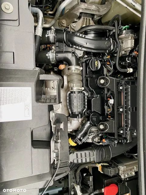 Toyota Proace - 19