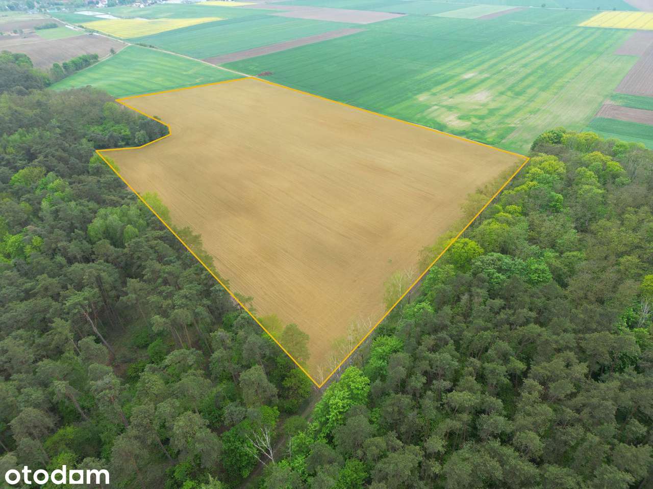 Działka rolna | 4,93 ha | świetna lokalizacja - Pełny obrazek: 3/4