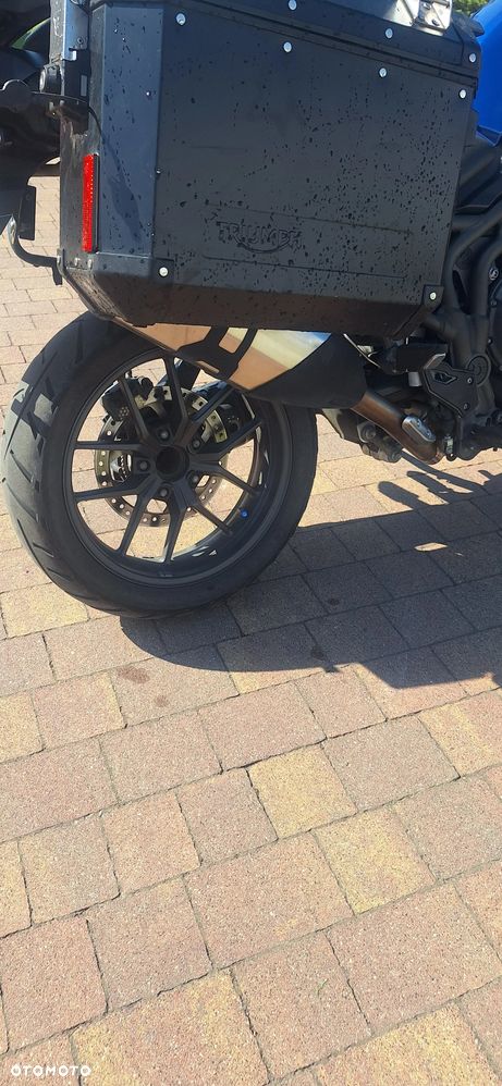 Triumph Tiger - 9