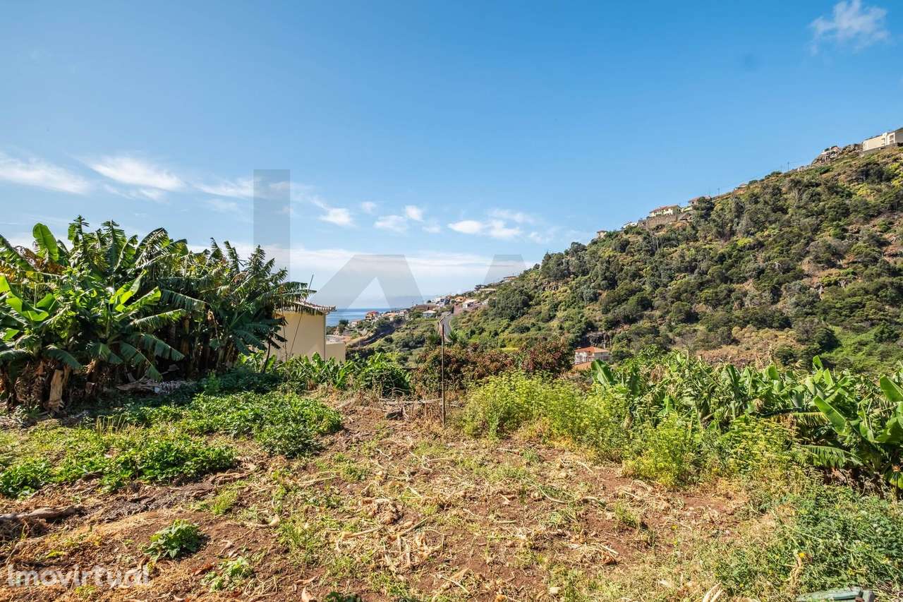 Terreno  para vender _ Excelente oportunidade de investimento na Ilha - Grande imagem: 5/22