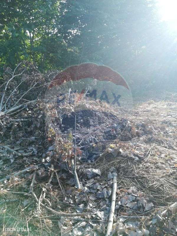 Terreno  para venda - Grande imagem: 3/12