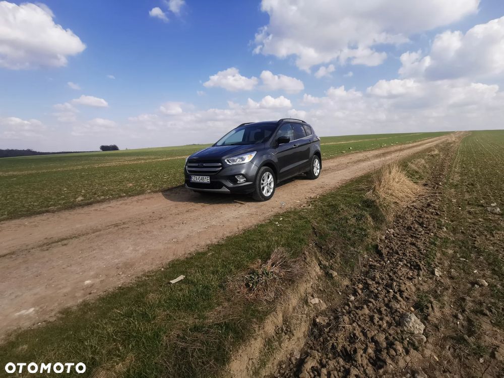 Ford Escape - 1