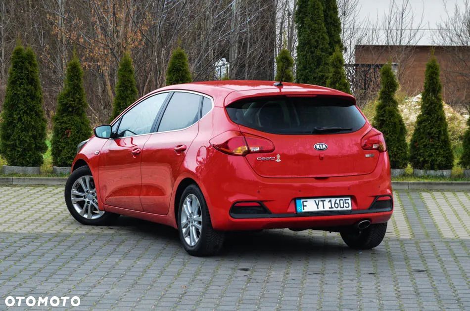 Kia Ceed 1.6 CRDi 128 Fifa World Cup Edition - 19